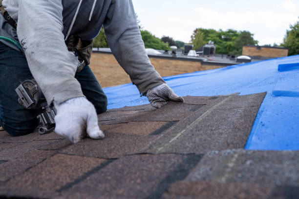 Best Roof Gutter Cleaning  in Bassett, VA