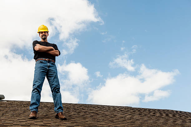 Roof Gutter Cleaning in Bassett, VA
